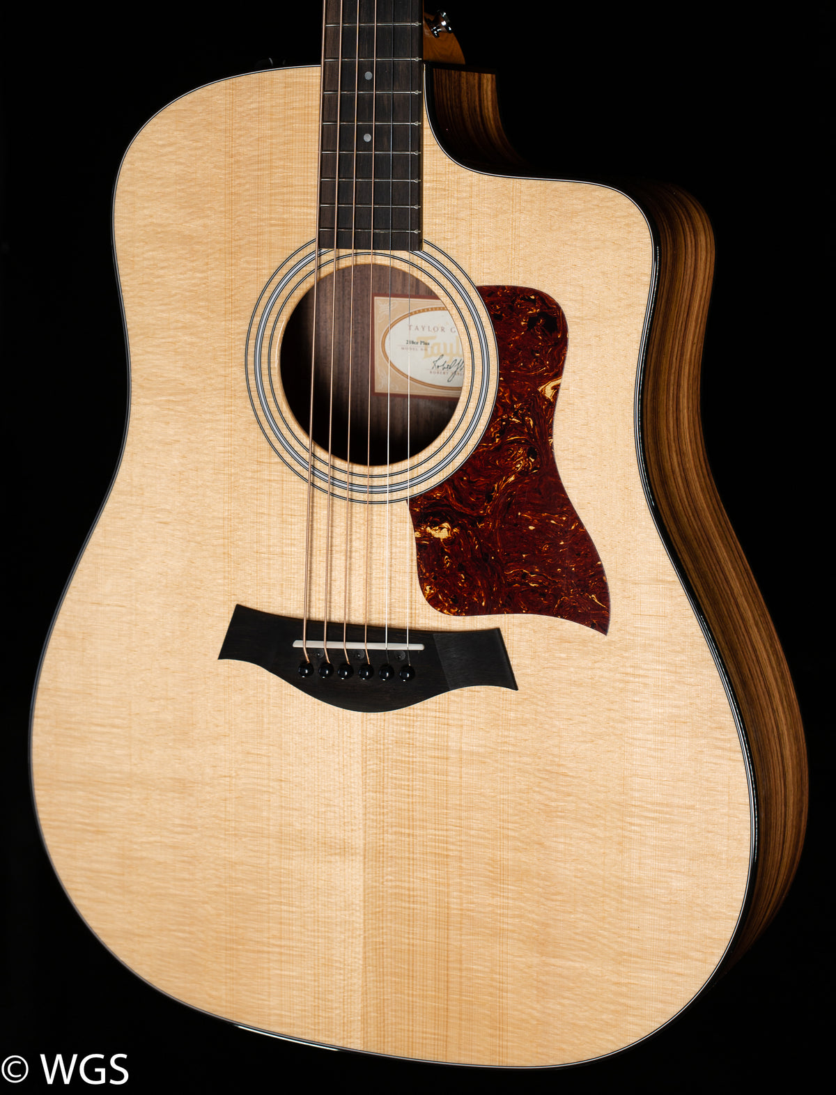 Taylor 210ce Plus (442)