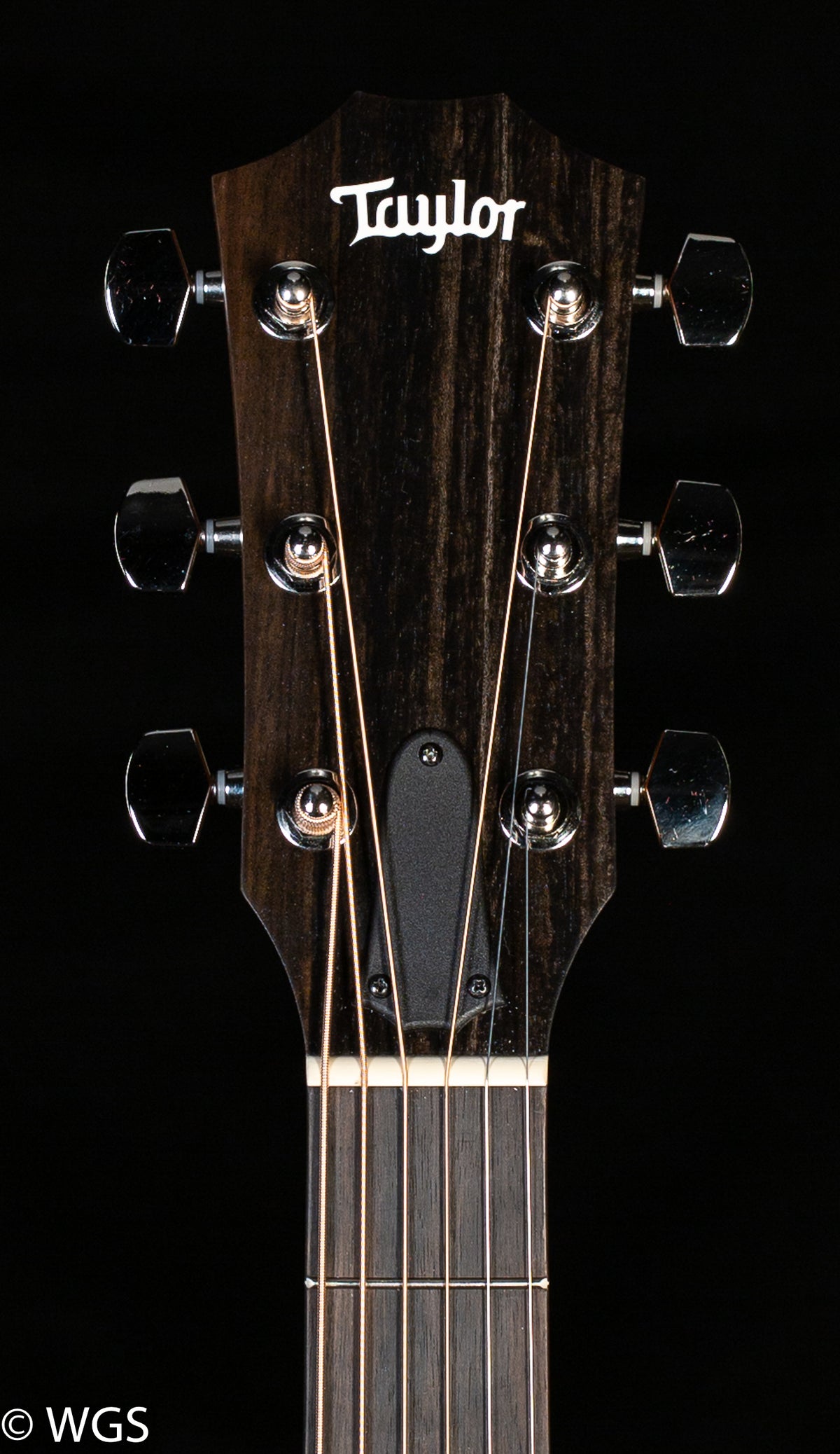 Taylor 210ce Plus (442)