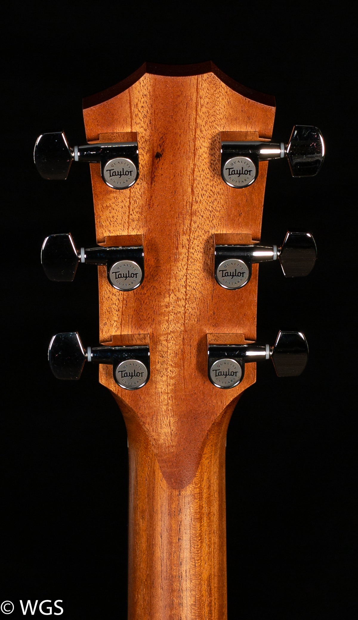 Taylor 210ce Plus (442)
