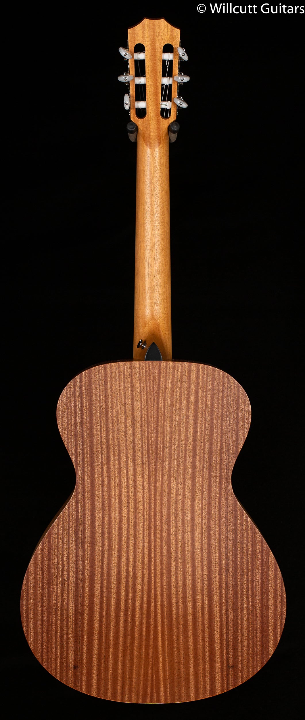 Taylor Academy 12-N (259)