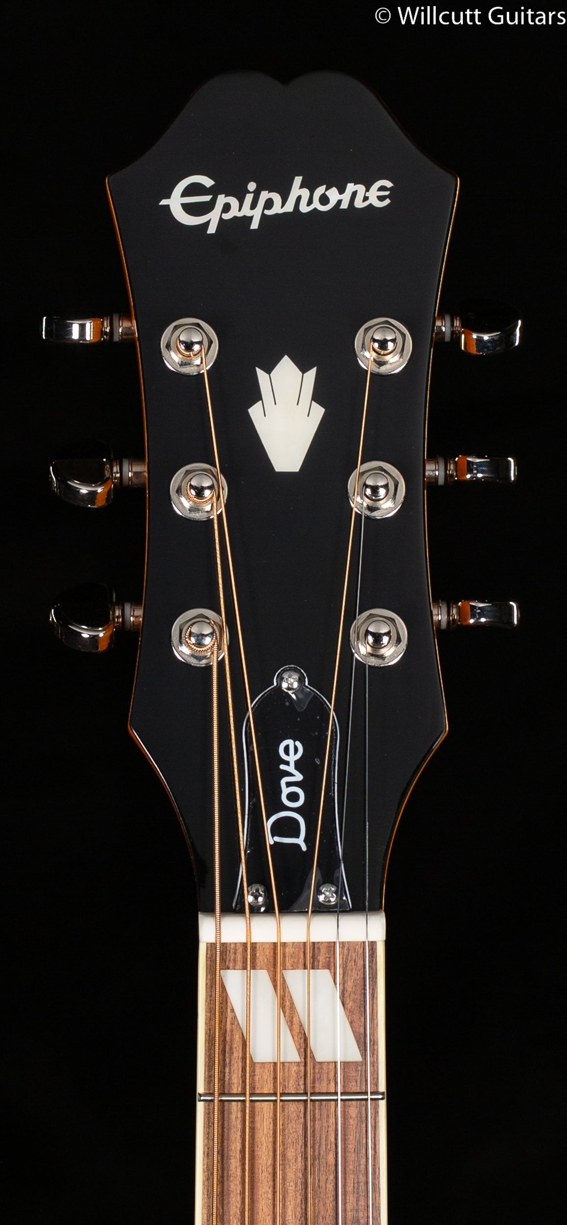 Epiphone Dove Studio Solid Top Fishman Sonitone (897)