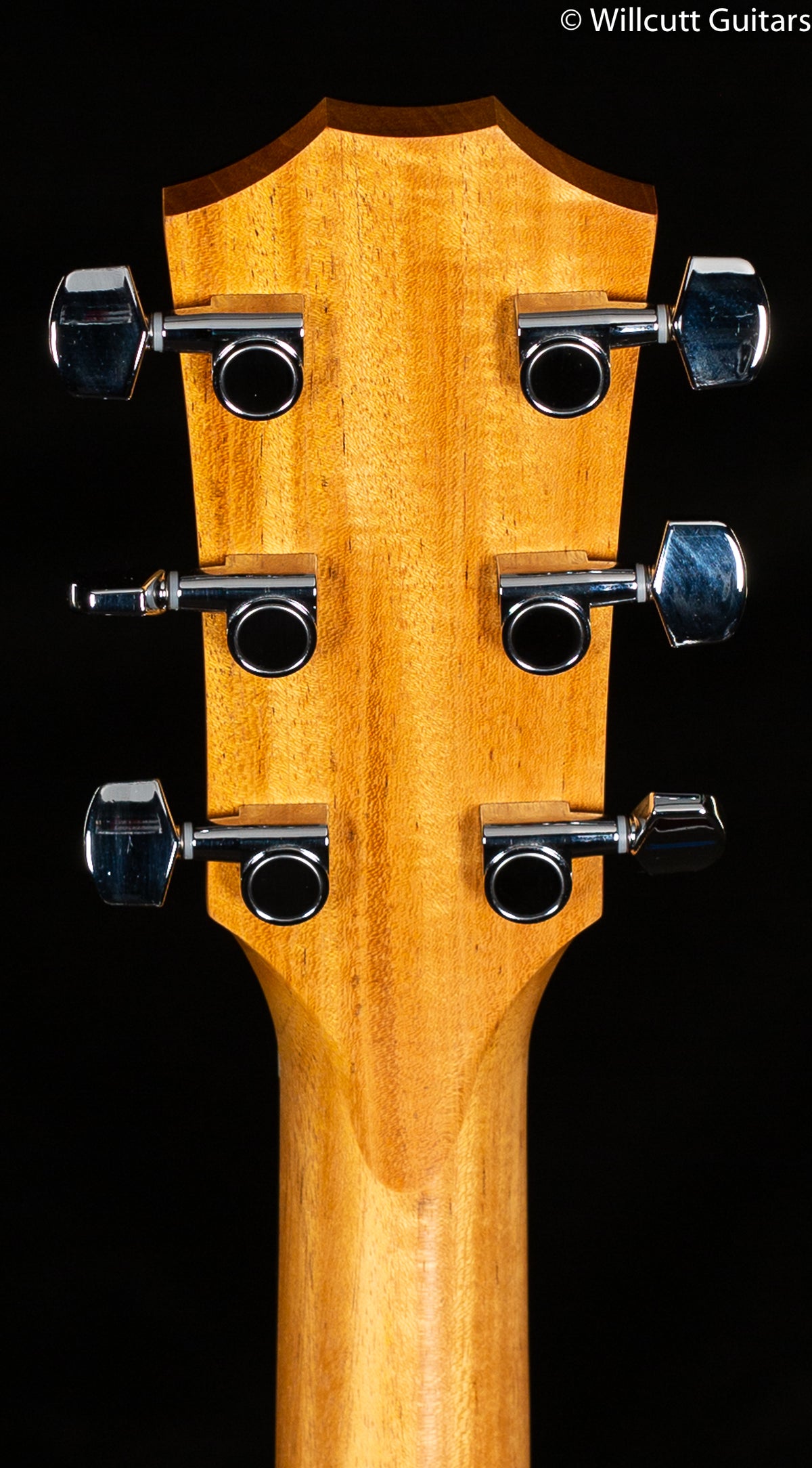 Taylor 214ce Grand Auditorium Spruce Rosewood (069)