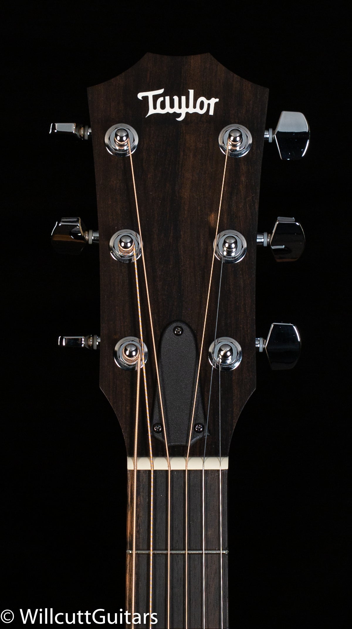 Taylor 110e Walnut