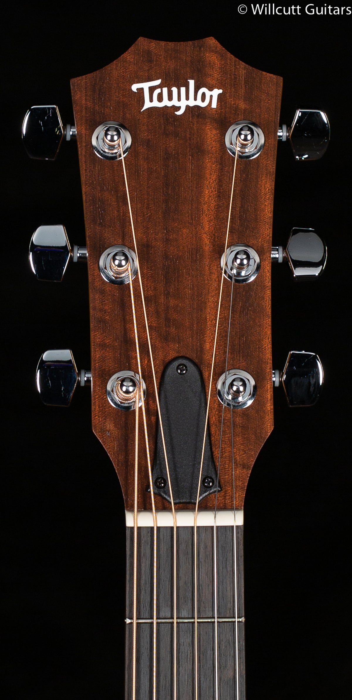 Taylor Academy 10 (422) - Willcutt Guitars