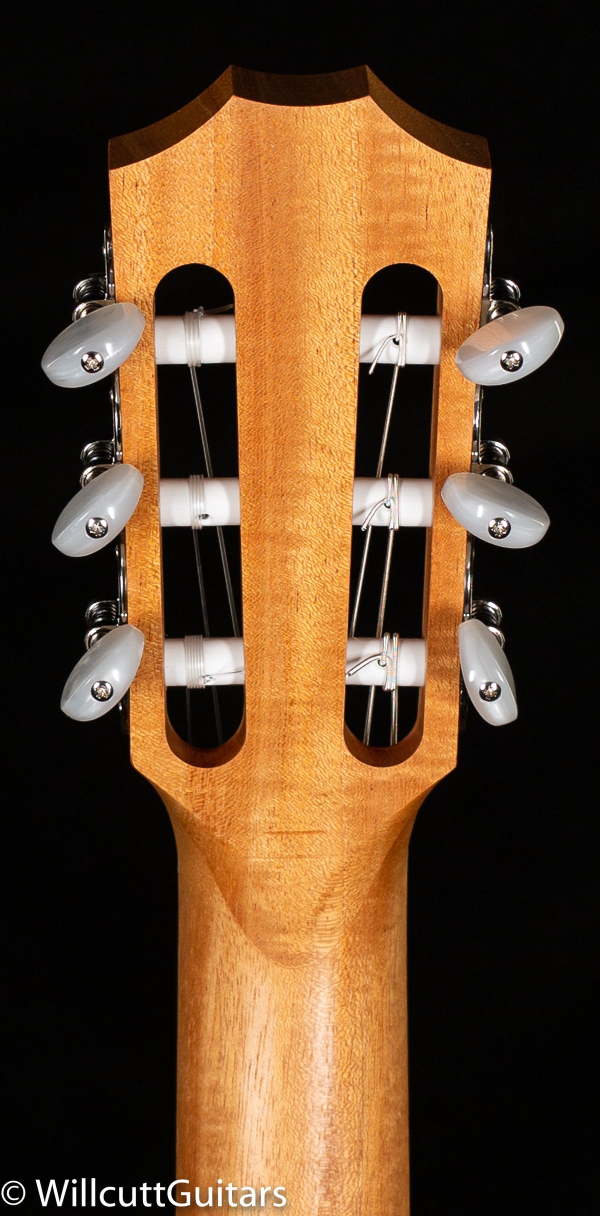 Taylor Academy 12e-N (292)