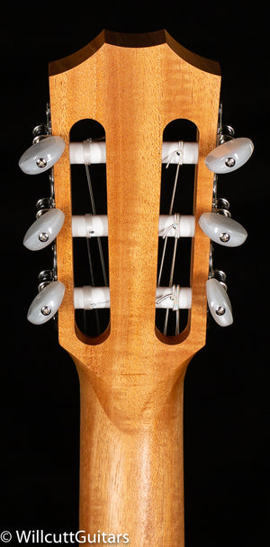Taylor Academy 12e-N (292)