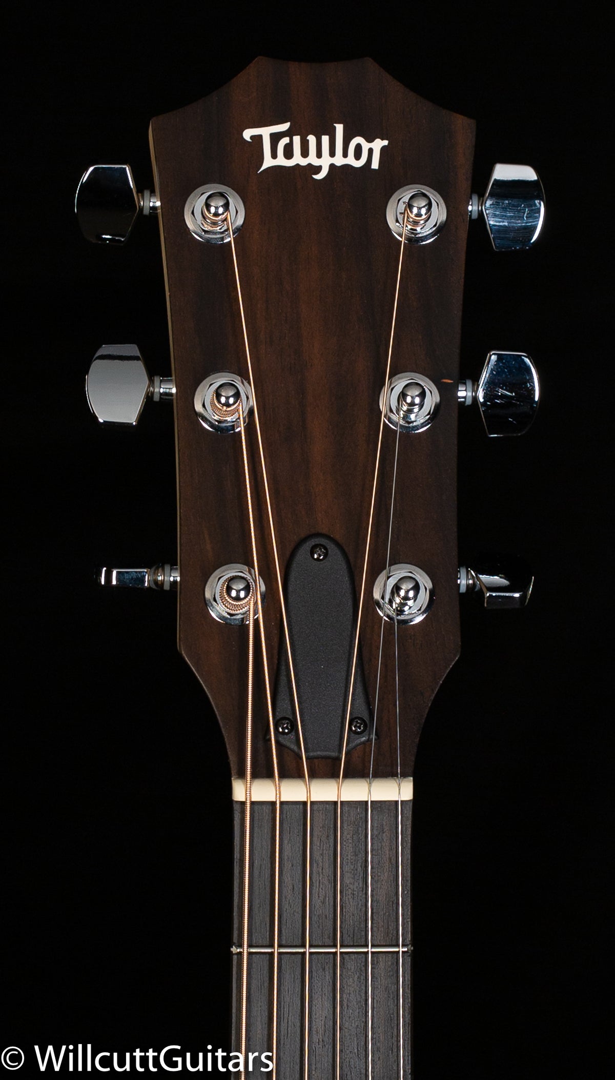 Taylor 110e Walnut