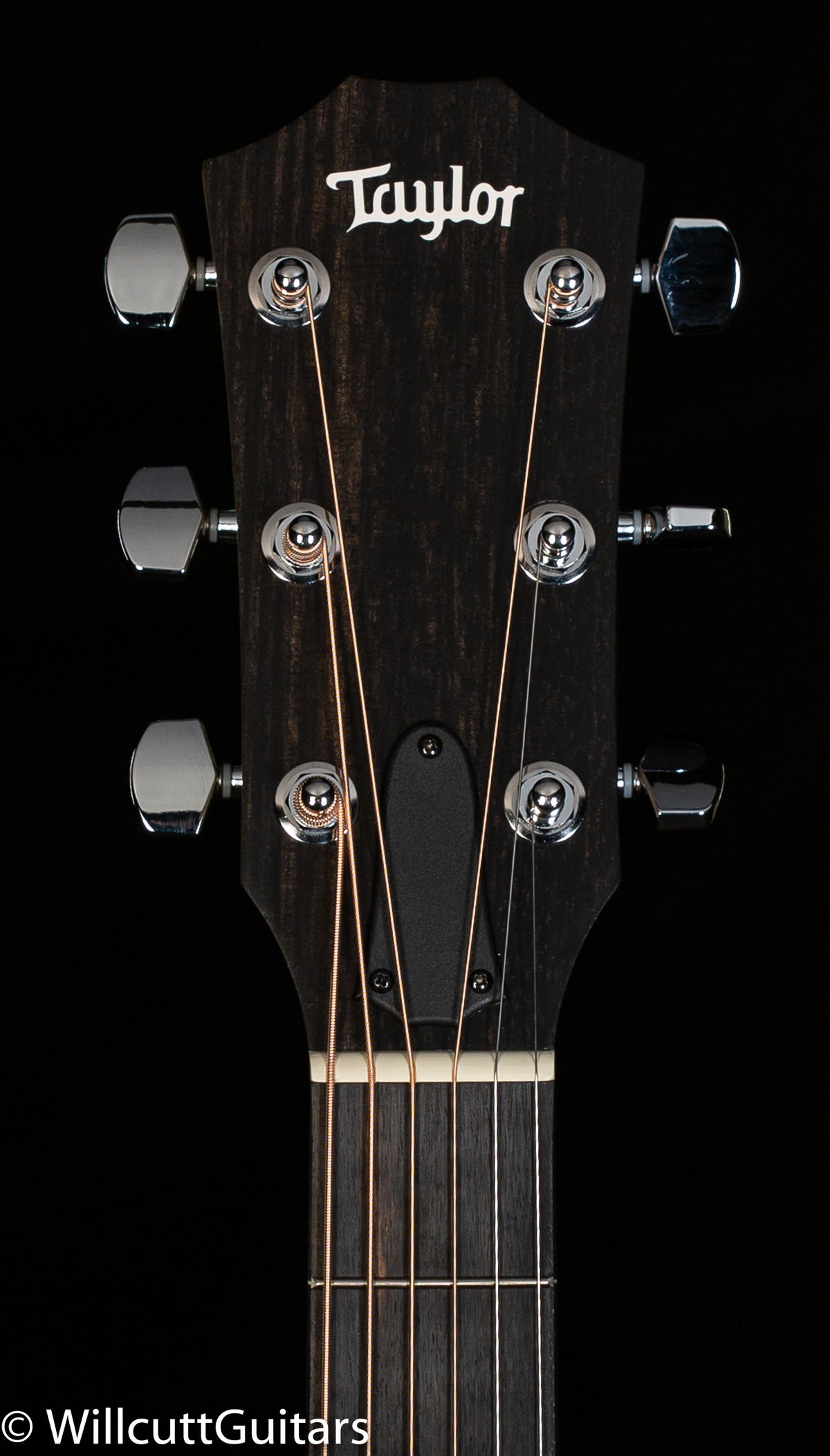 Taylor 110e Walnut