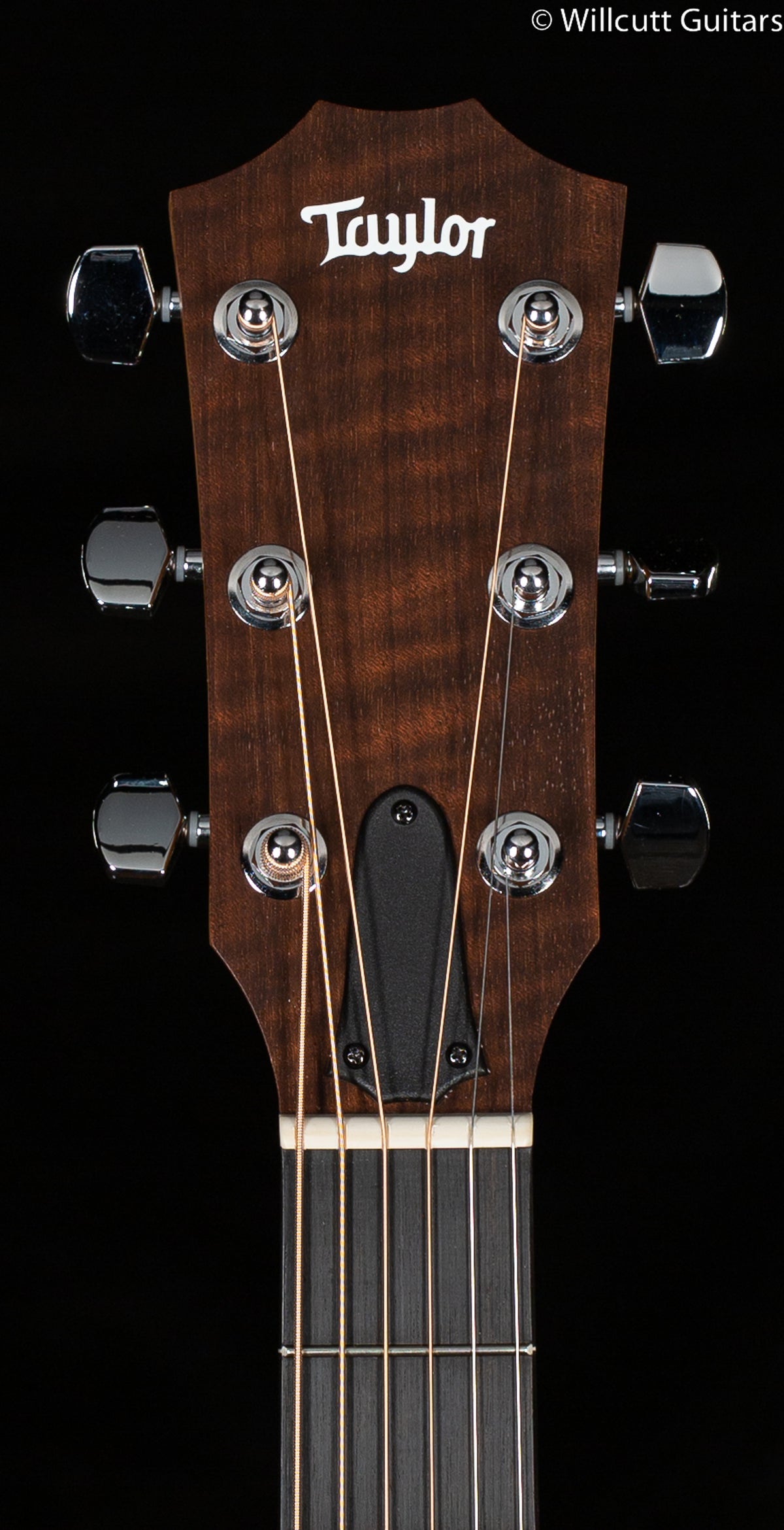 Taylor Academy 20e Walnut Top (436)
