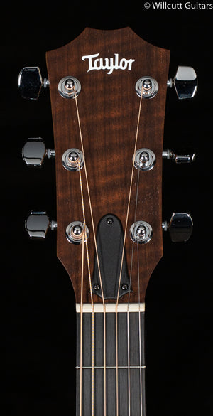 Taylor Academy 20e Walnut Top (436)