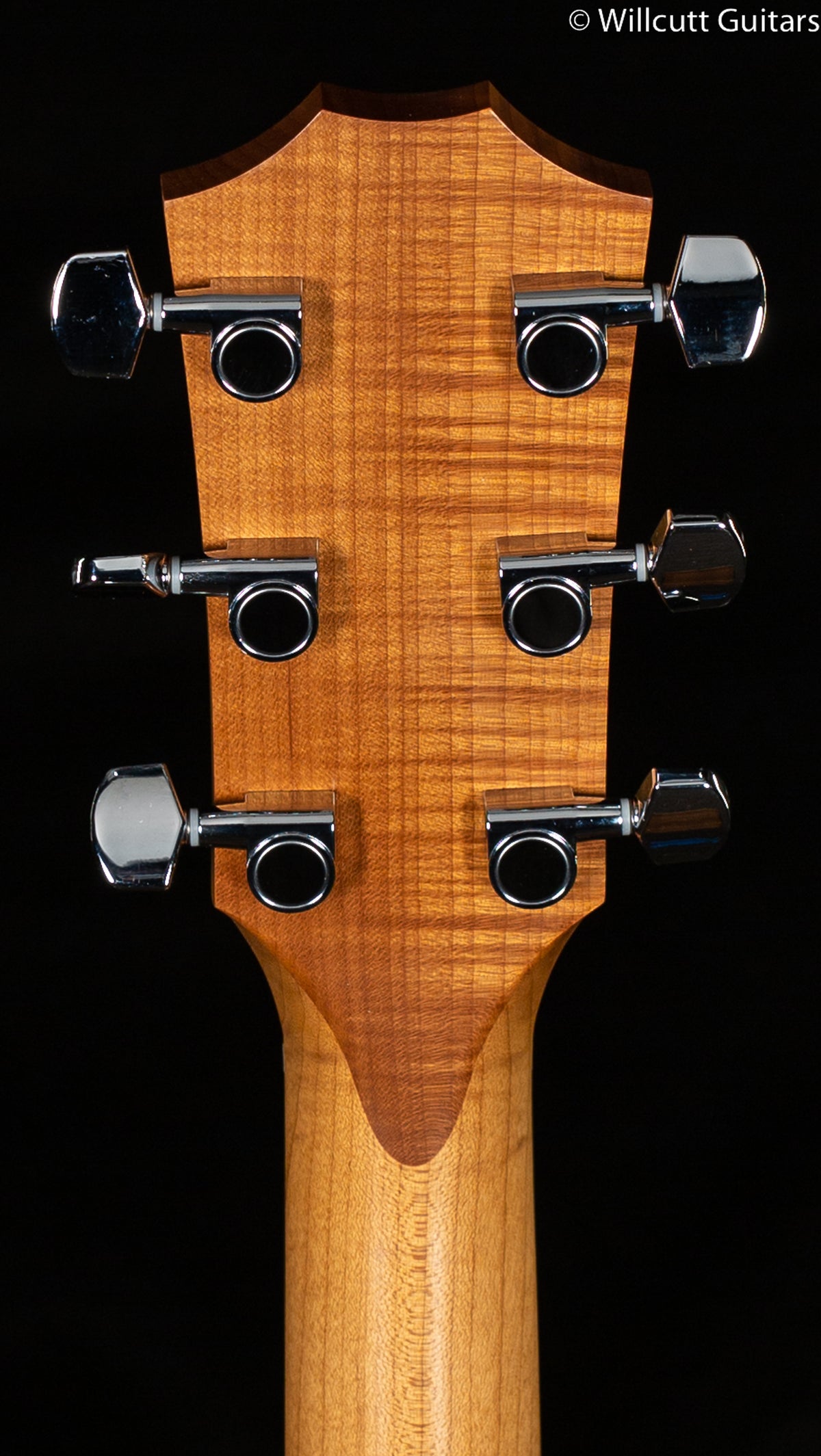 Taylor Academy 20e Walnut Top (436)