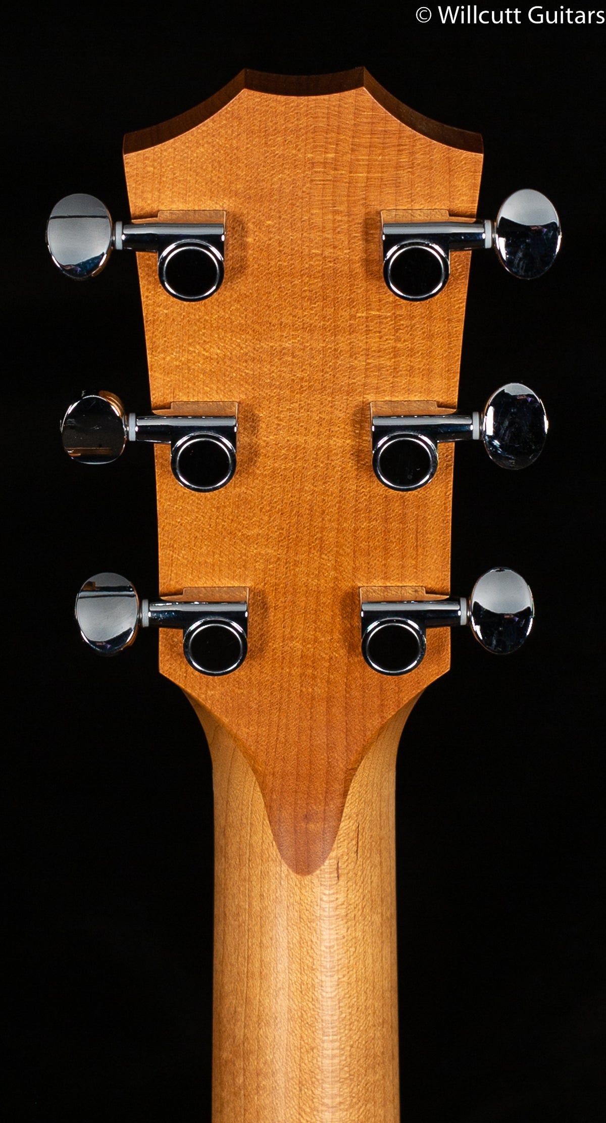 Taylor Big Baby Taylor Walnut/Walnut (450)