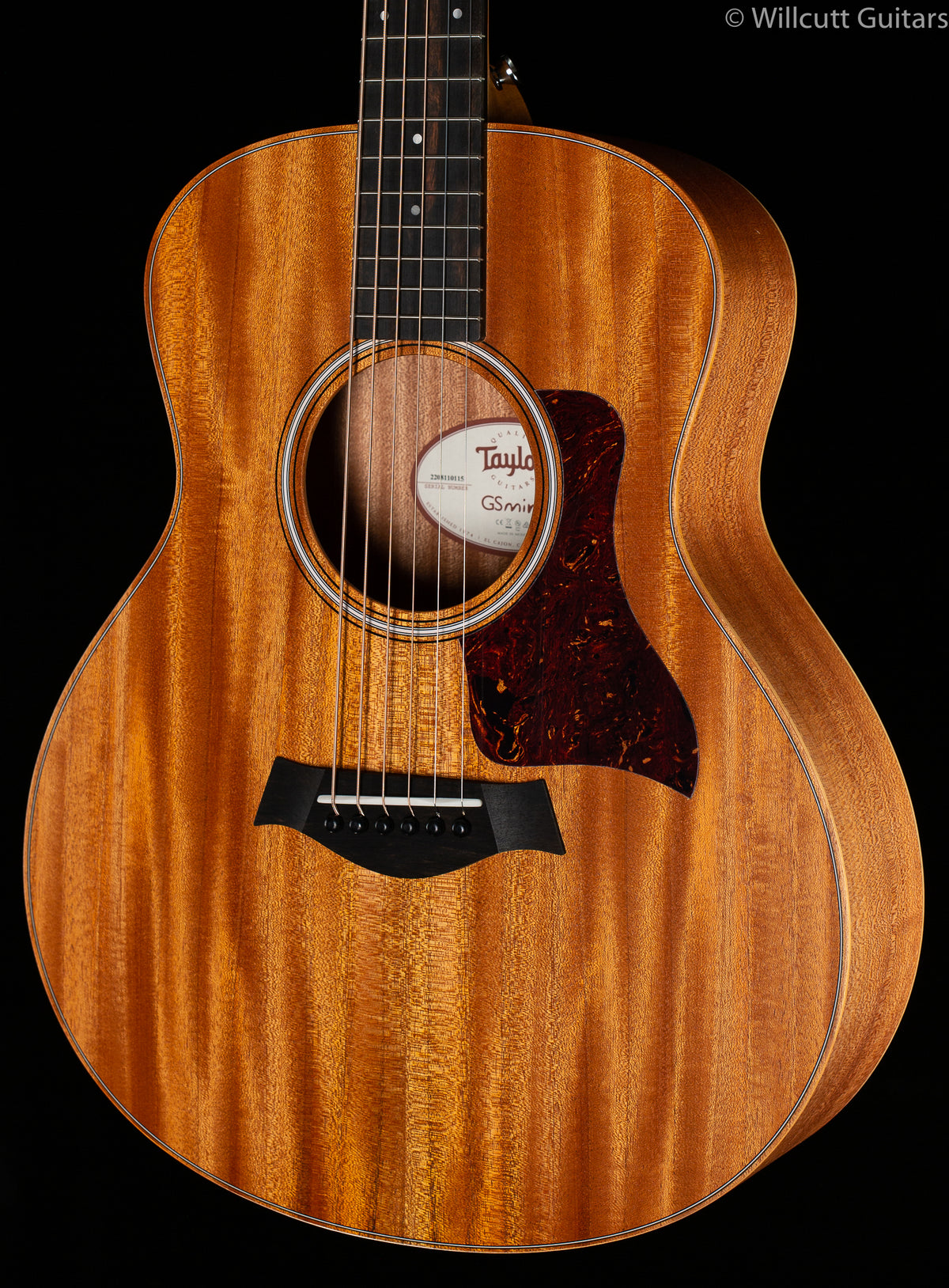 Taylor GS-Mini Mahogany