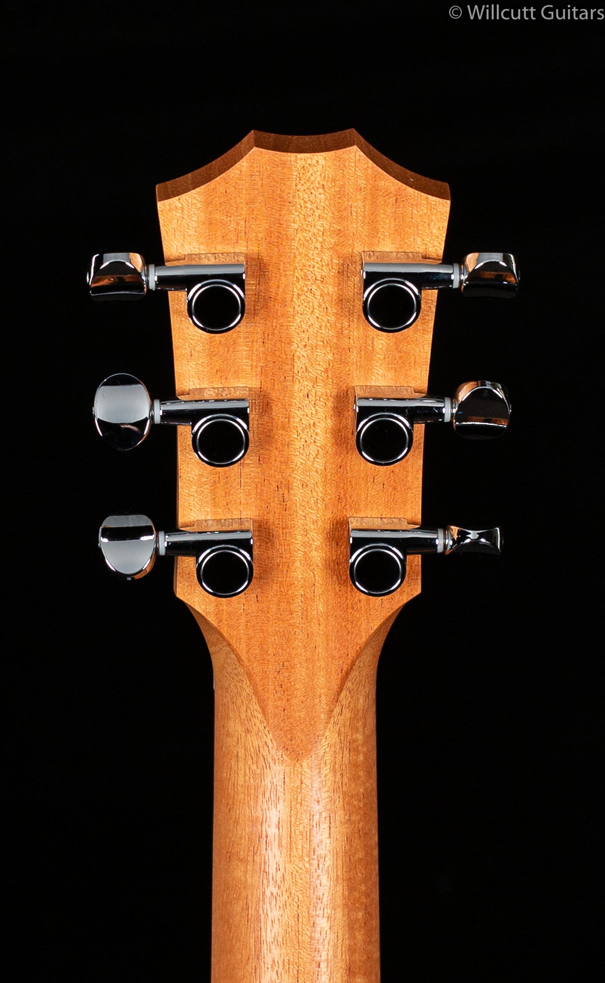 Taylor GS-Mini Mahogany