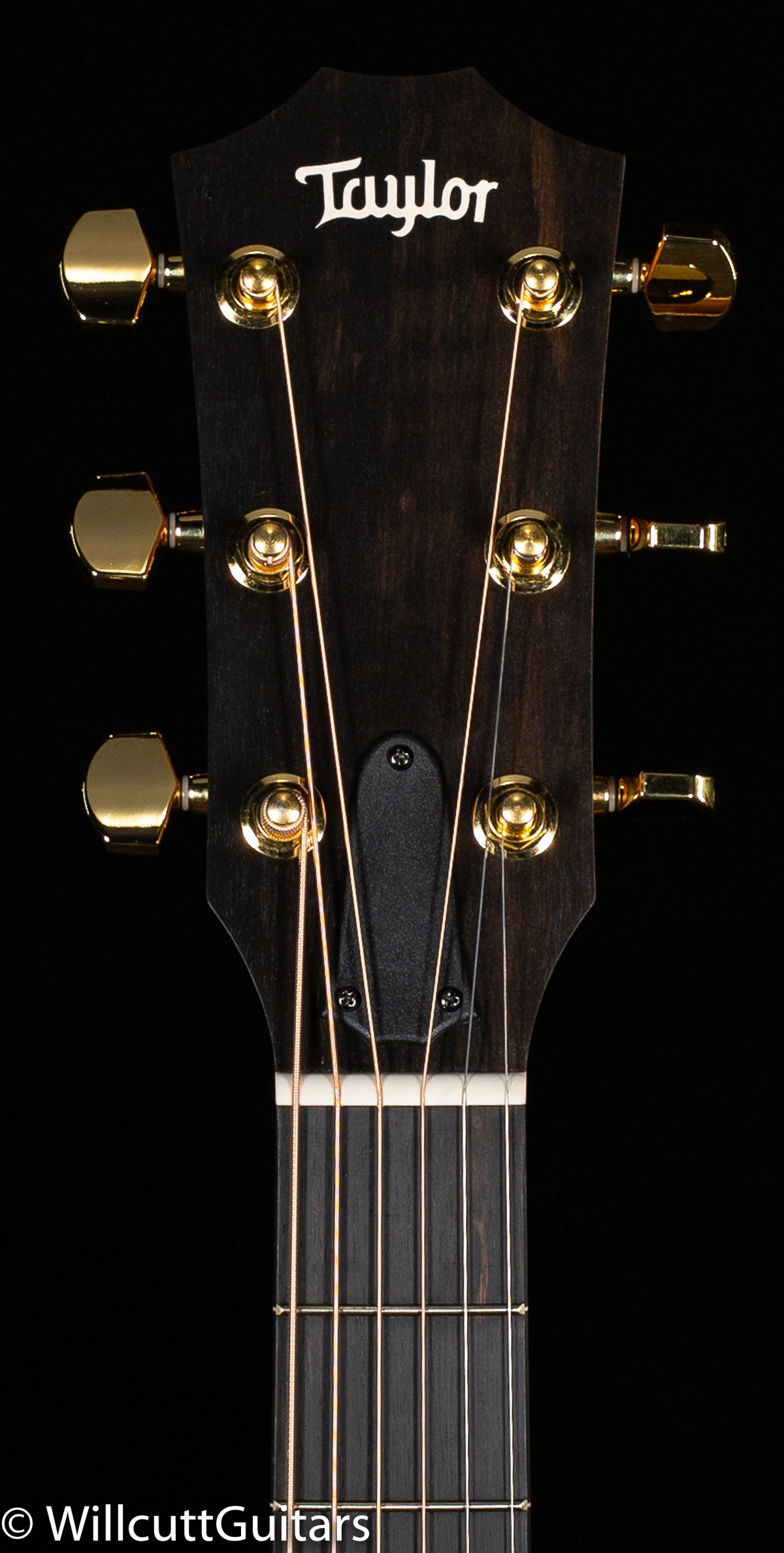 Taylor 214ce-K DLX Grand Auditorium (188)