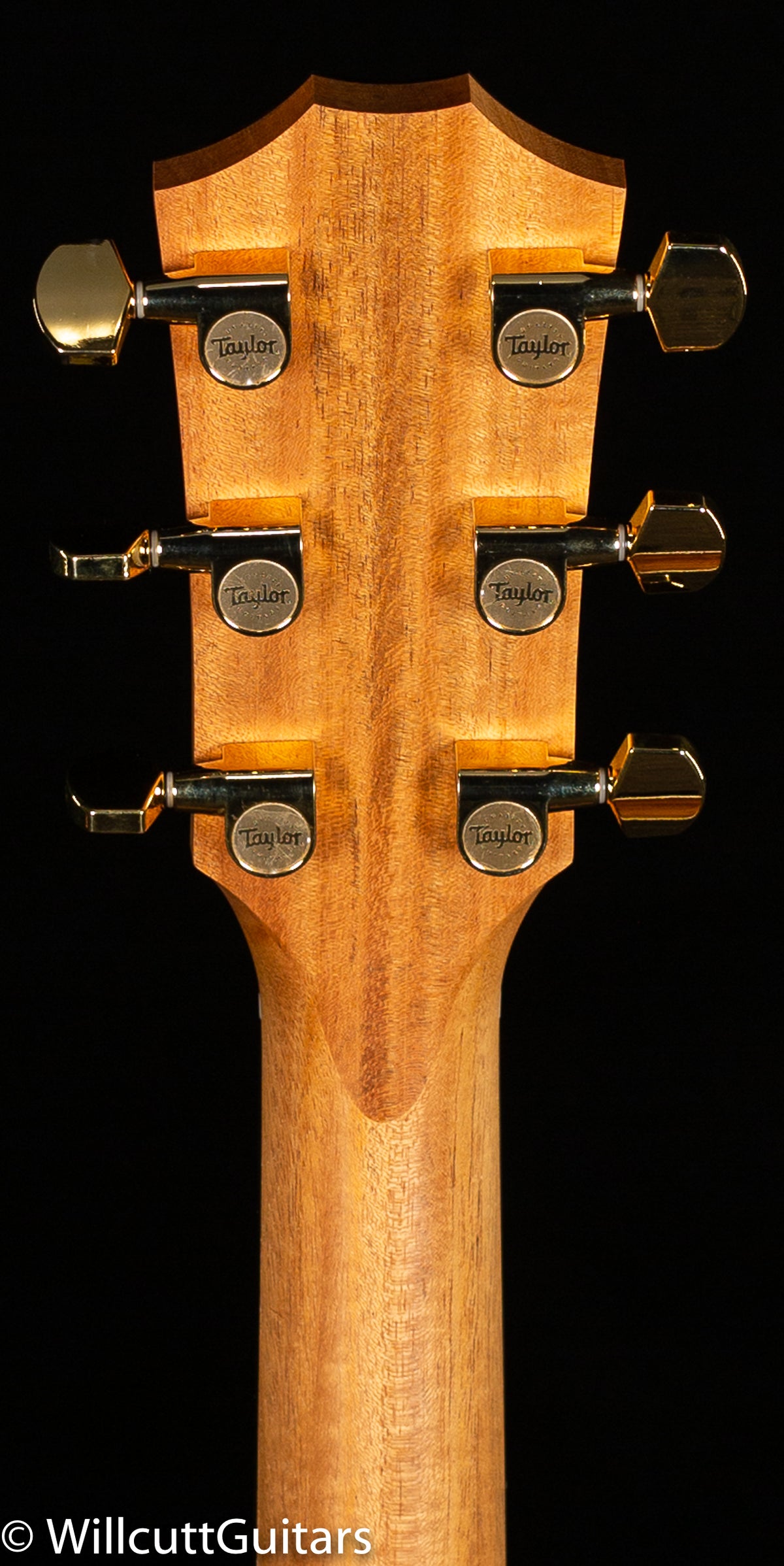 Taylor 214ce-K DLX Grand Auditorium (188)
