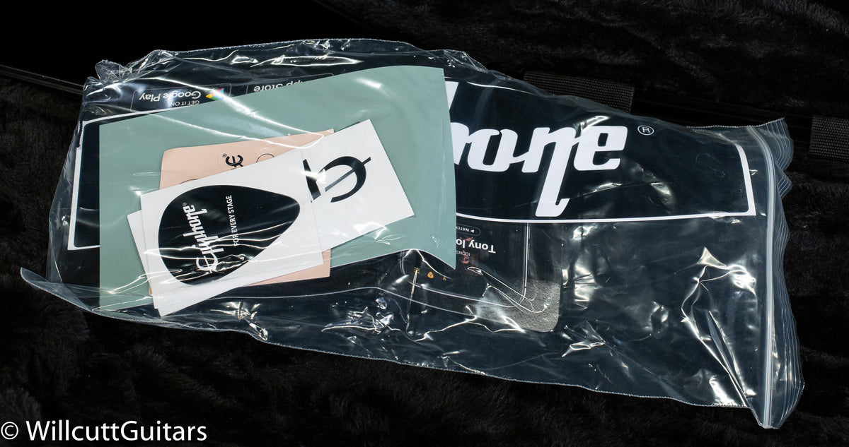 Epiphone Adam Jones Les Paul Custom Art Frazetta (960)