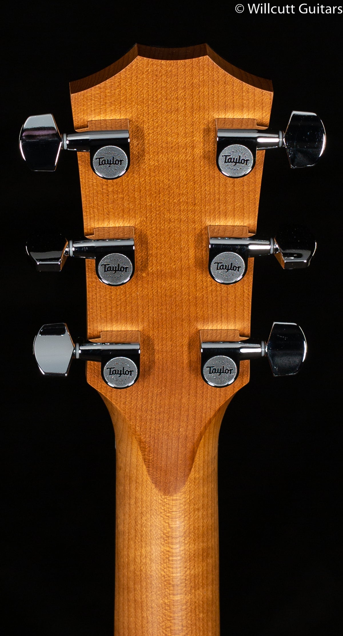Taylor 114ce Grand Auditorium Walnut/Sitka (063)