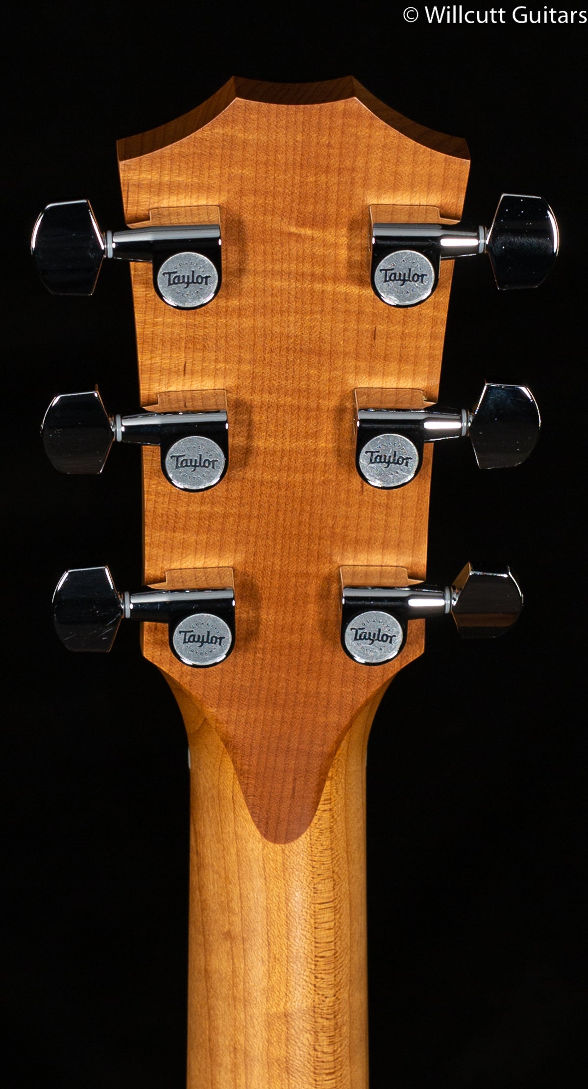 Taylor 114ce Grand Auditorium Walnut/Sitka (064)