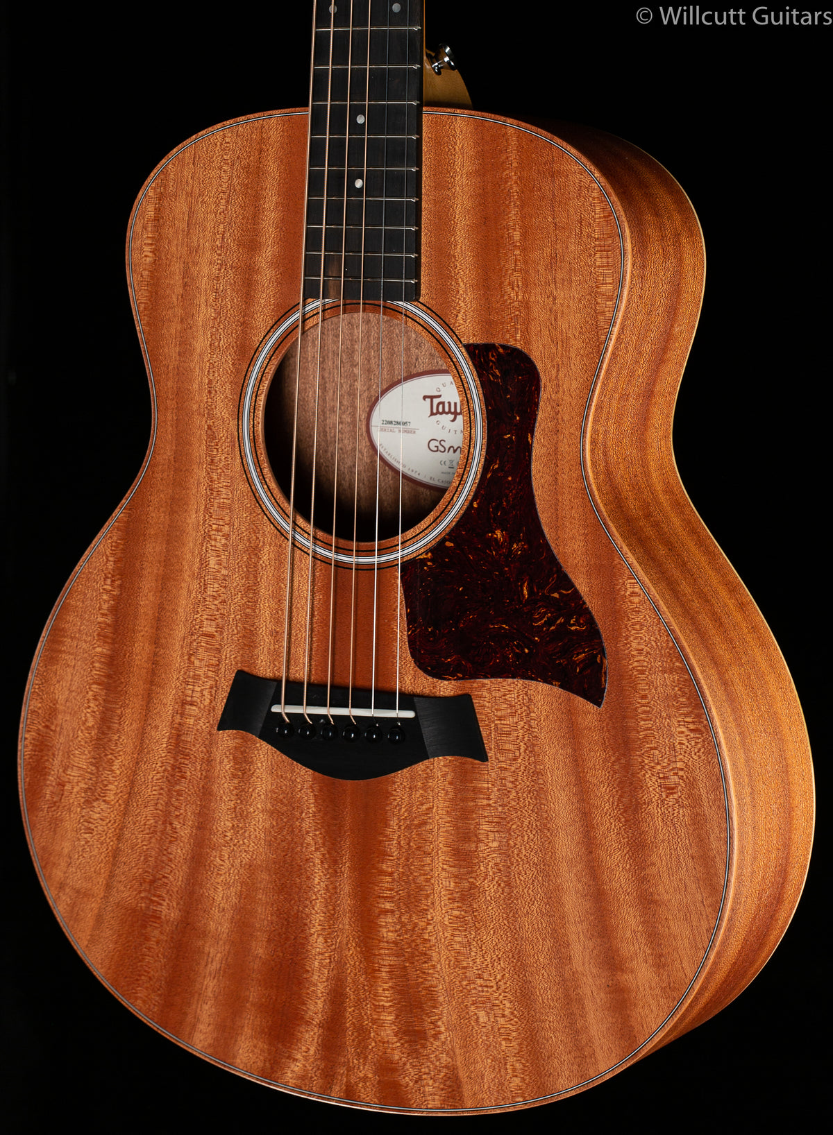 Taylor GS-Mini Mahogany