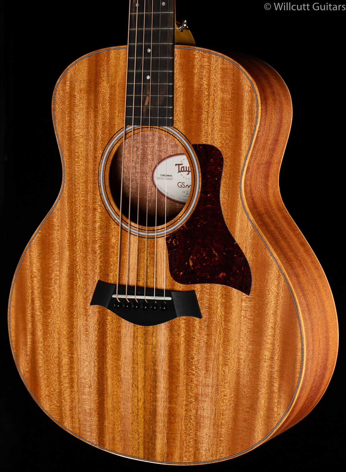 Taylor GS-Mini Mahogany