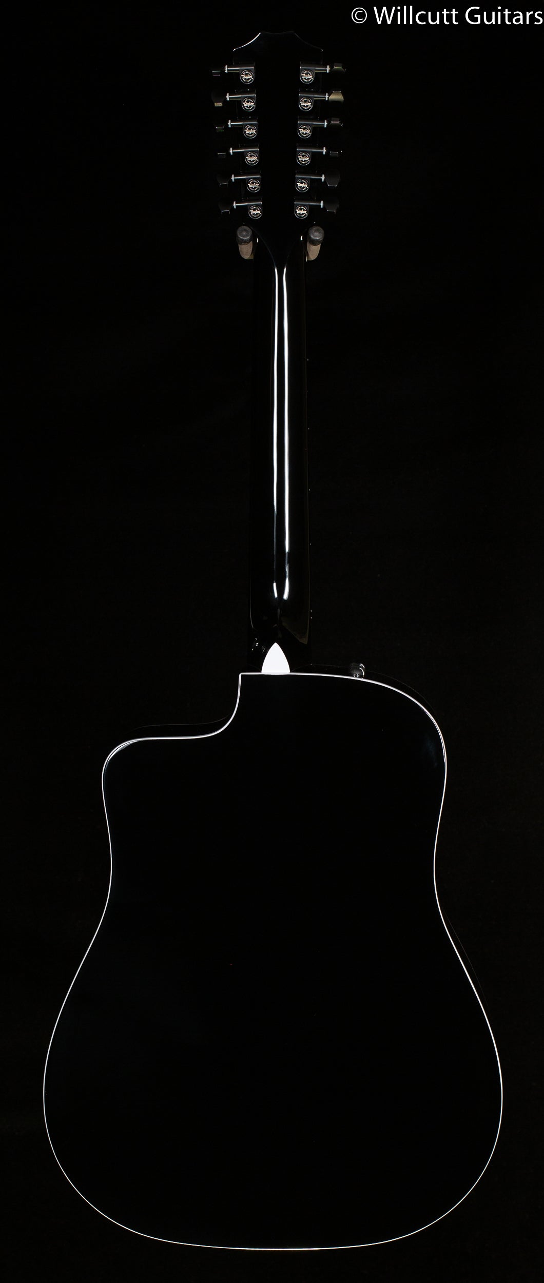 Taylor 250CE Deluxe Black 12 String (215)