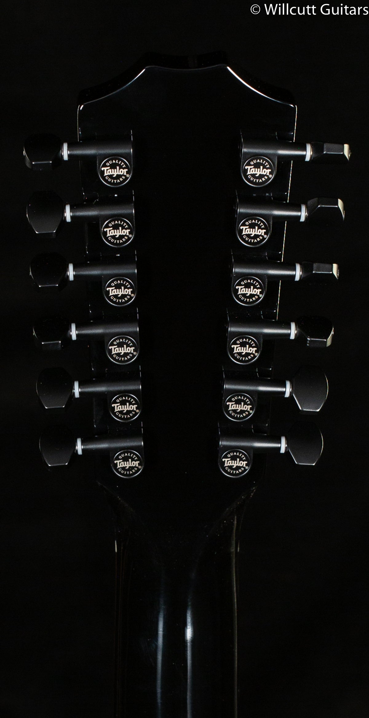 Taylor 250CE Deluxe Black 12 String (215)