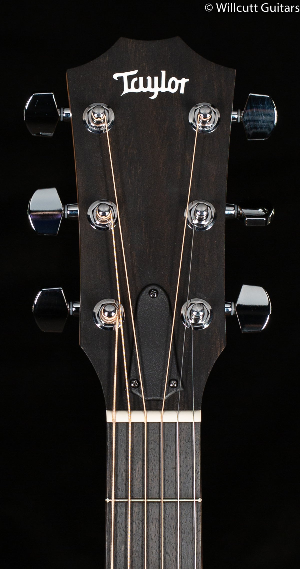 2022 Taylor 110e Dreadnought Walnut/Sitka (037)