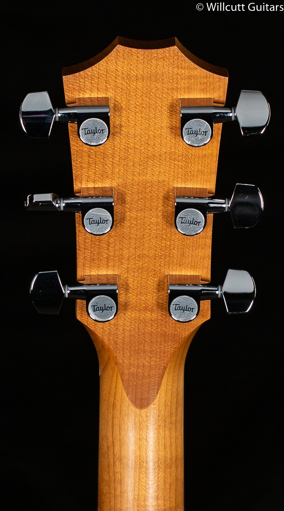 2022 Taylor 110e Dreadnought Walnut/Sitka (037)