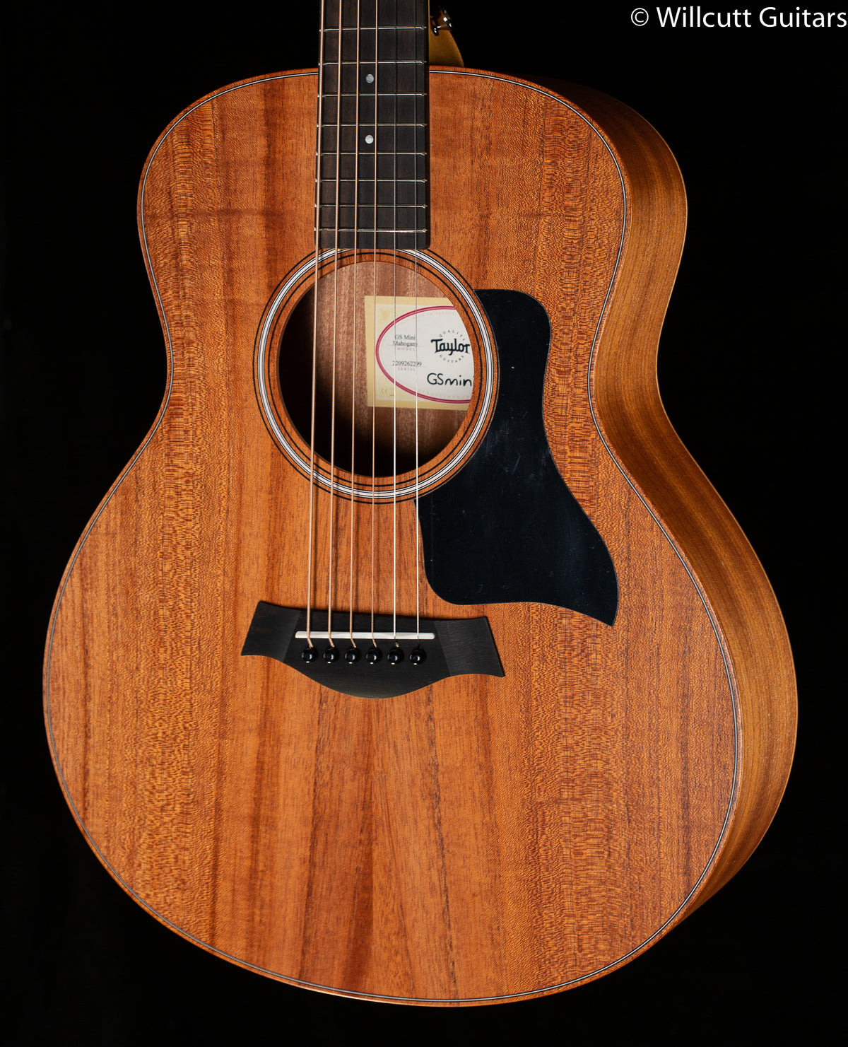 Taylor GS Mini Mahogany (299)