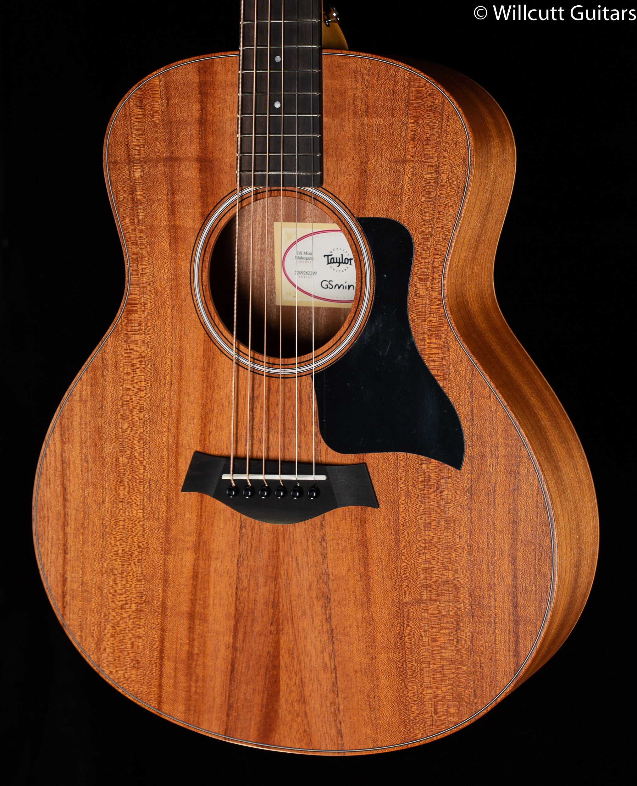 Taylor GS Mini Mahogany (299) - Willcutt Guitars