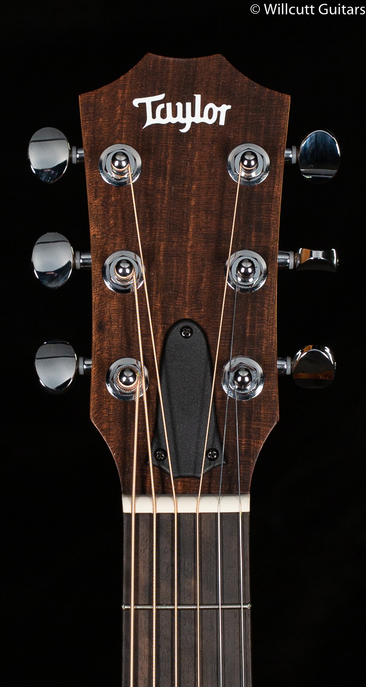 Taylor GS Mini Mahogany (299)