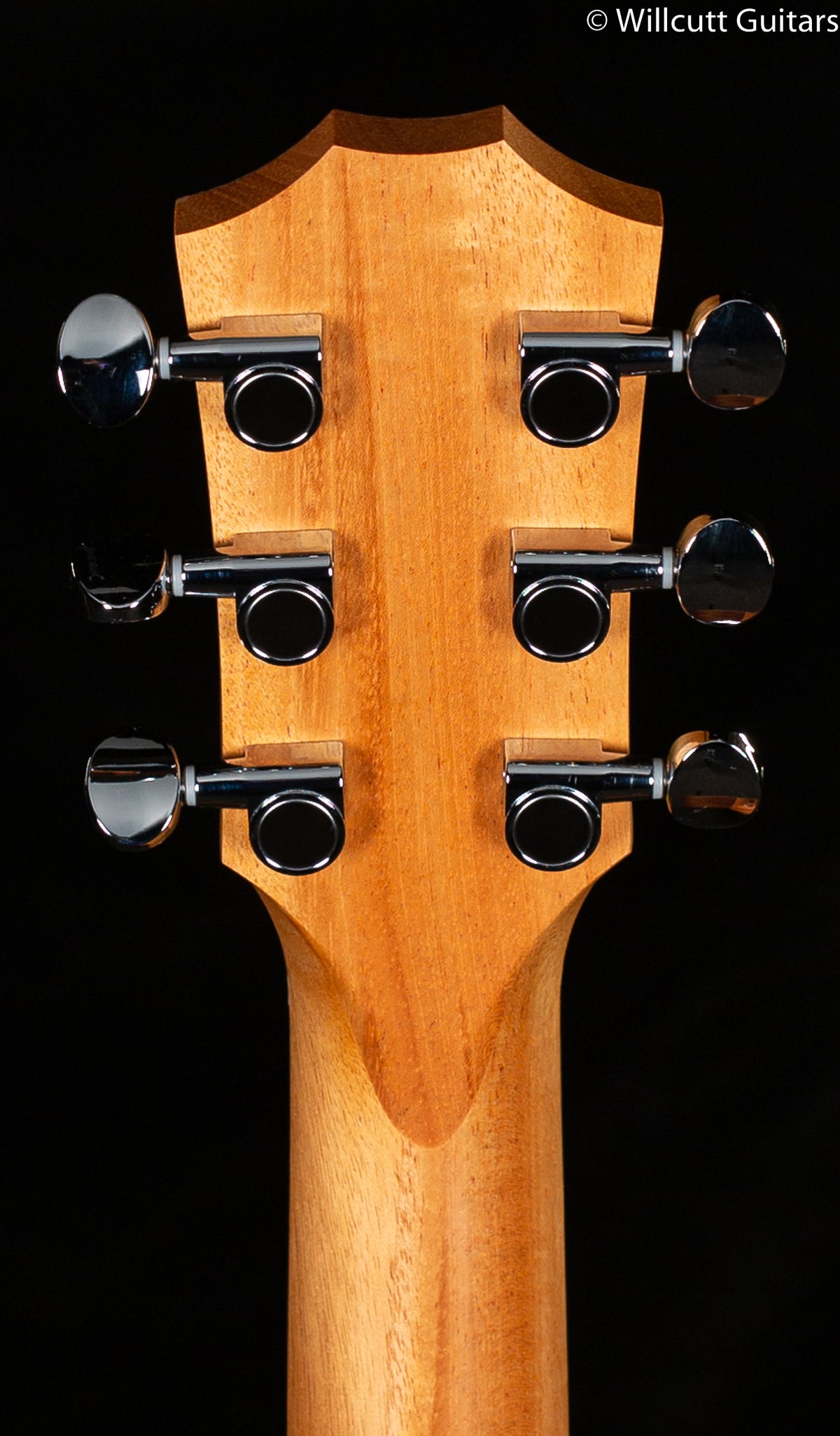 Taylor GS Mini Mahogany (299)