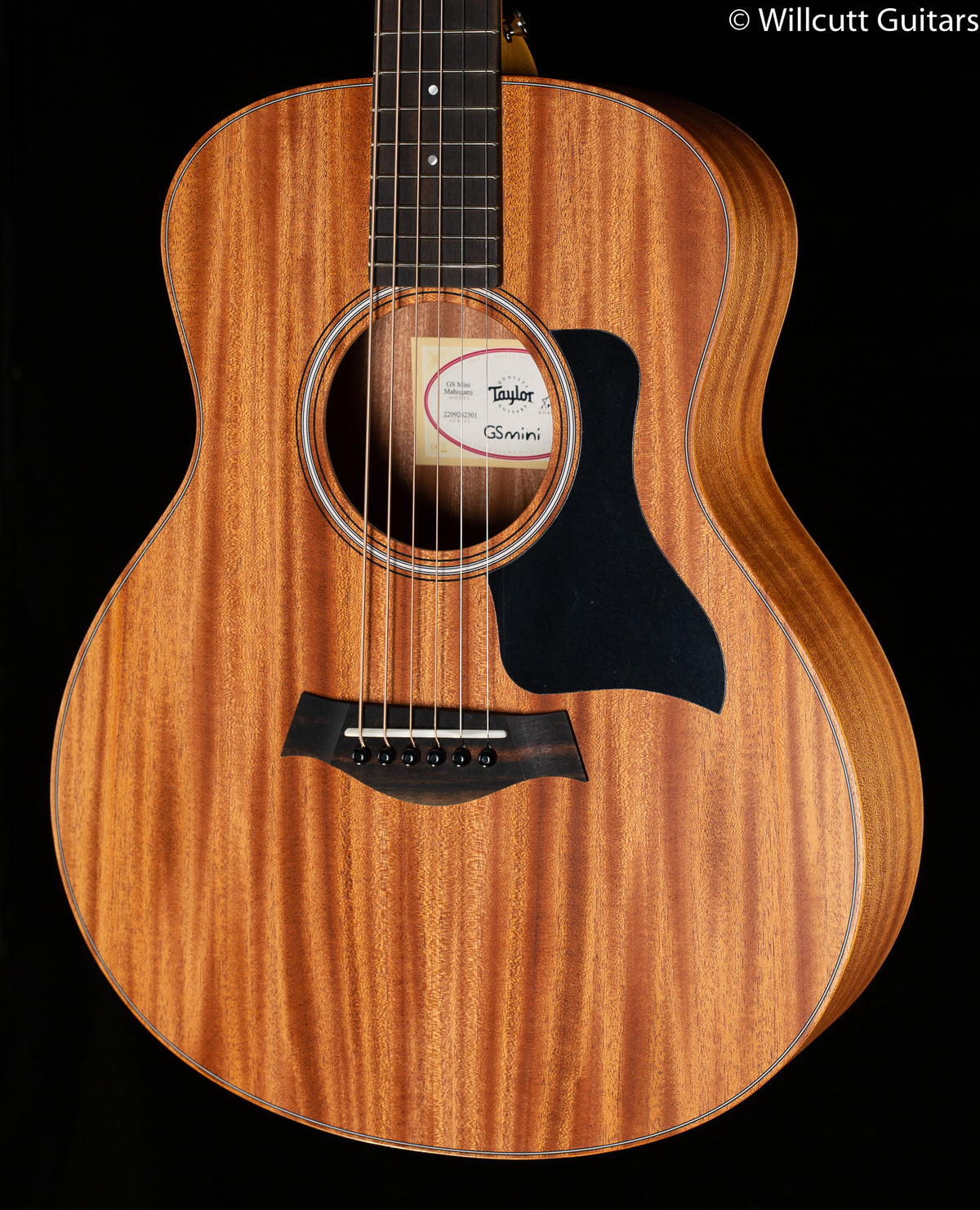 Taylor GS Mini Mahogany (301)