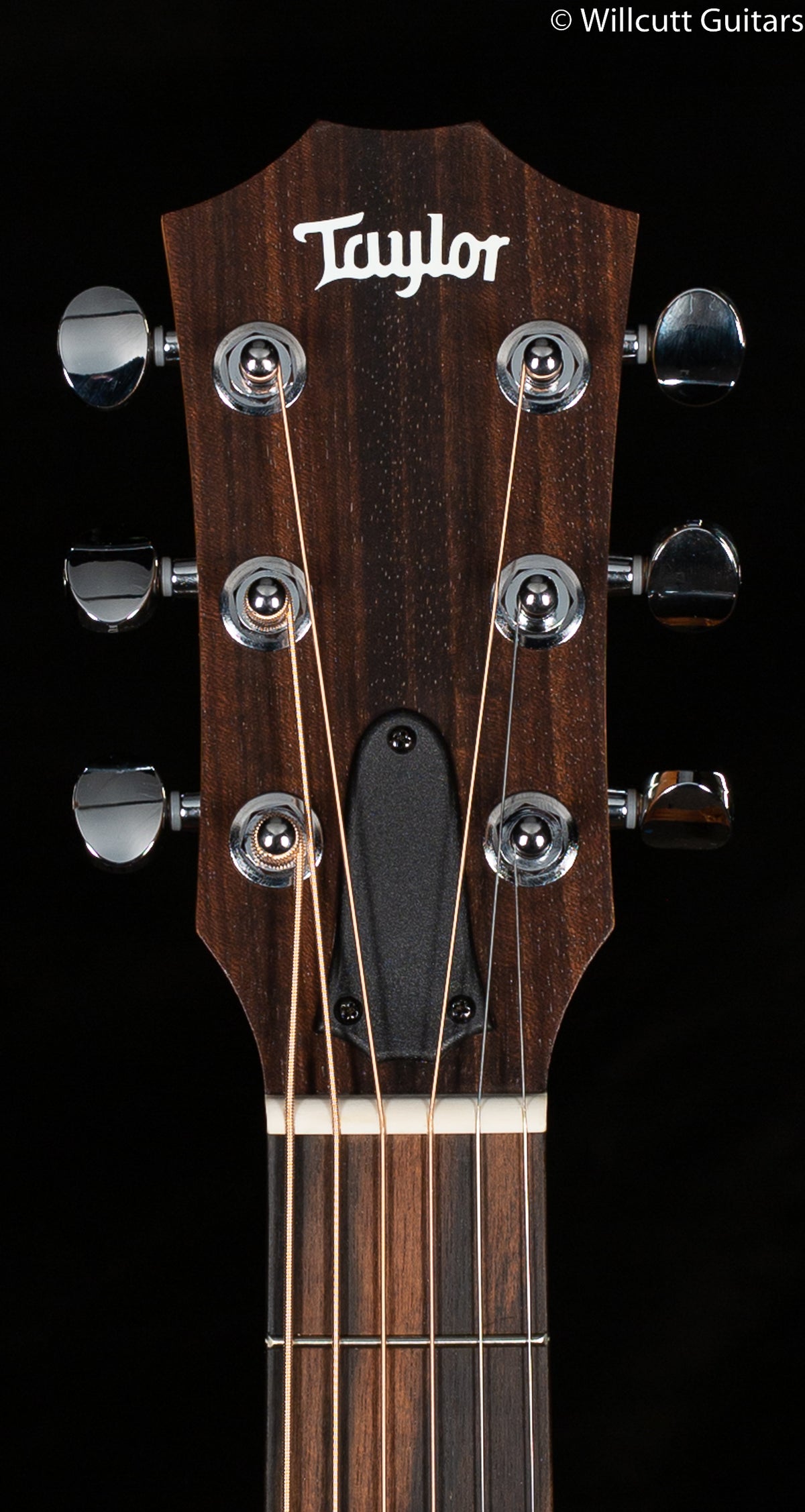 Taylor GS Mini Mahogany (301)