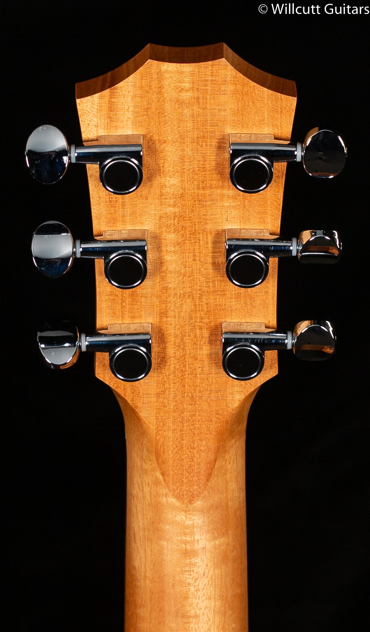 Taylor GS Mini Mahogany (301)