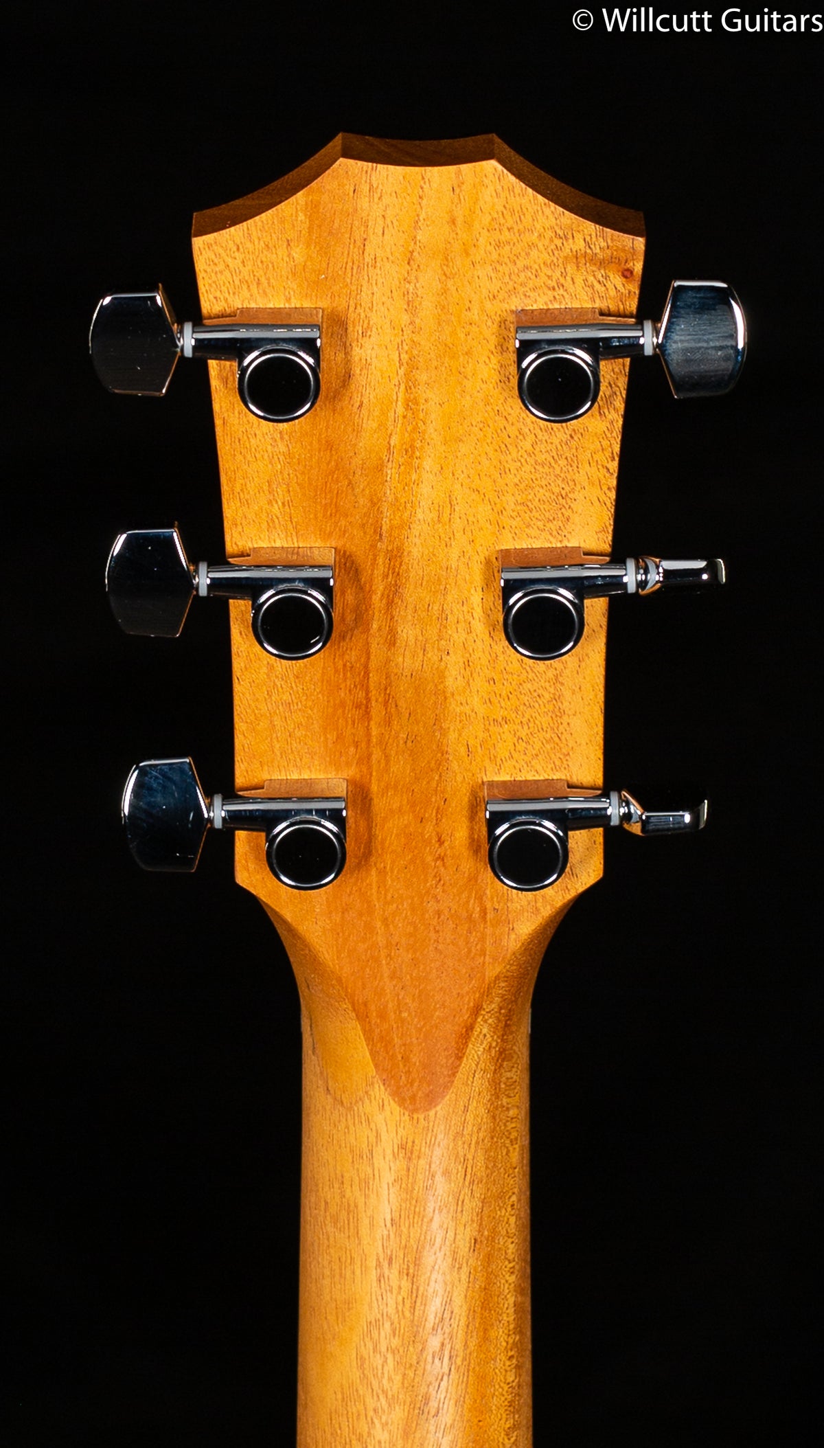 Taylor 214ce-K Koa Spruce (200)