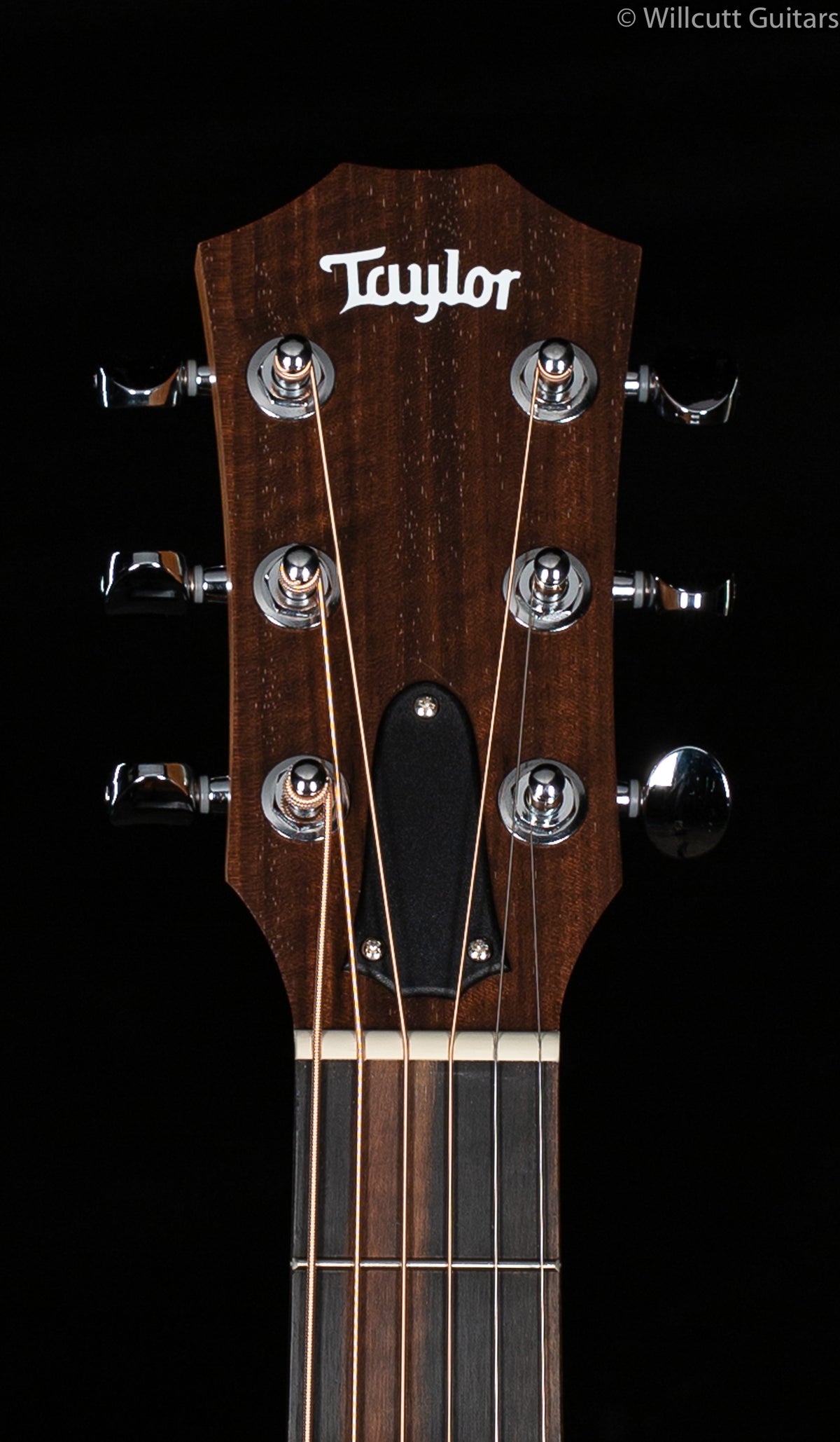 Taylor GS-Mini Mahogany