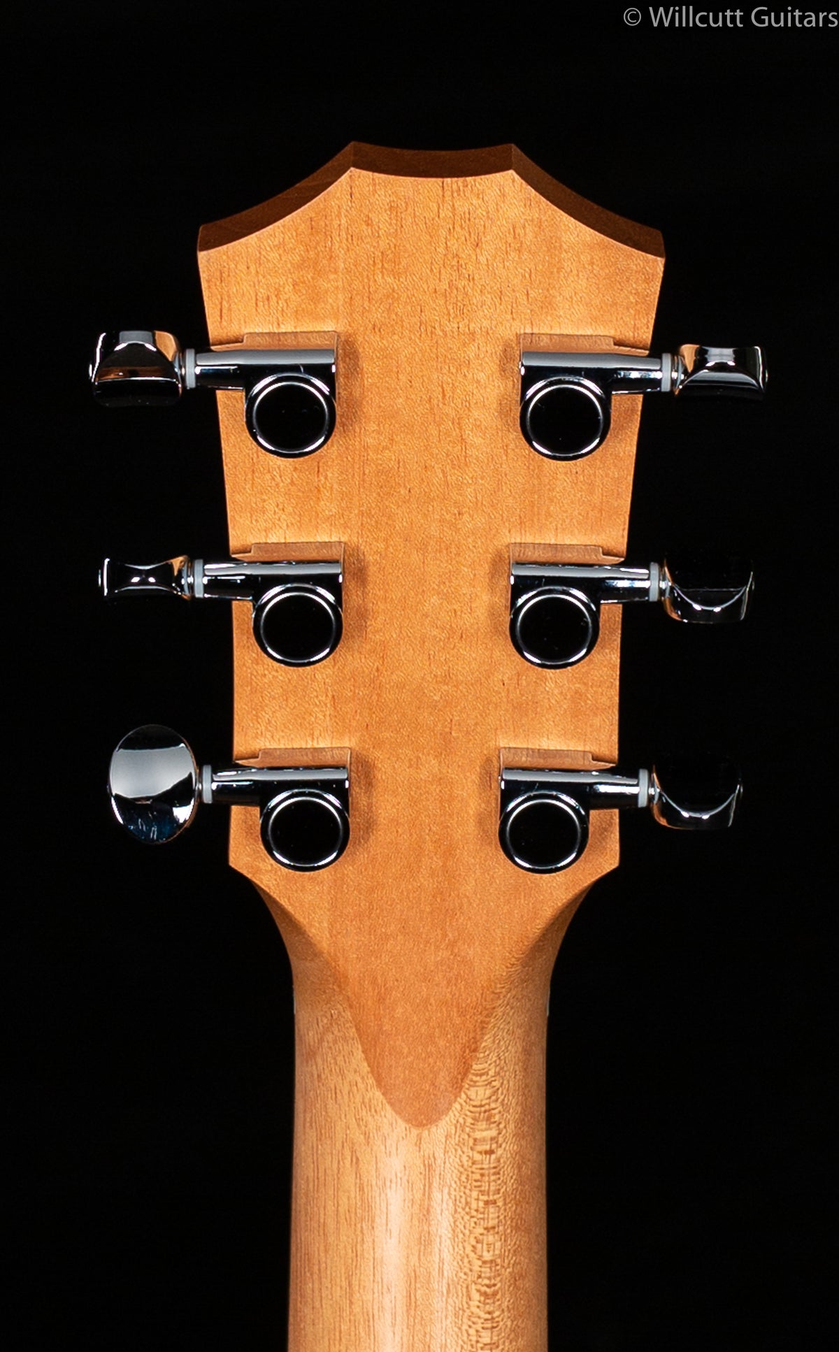 Taylor GS-Mini Mahogany