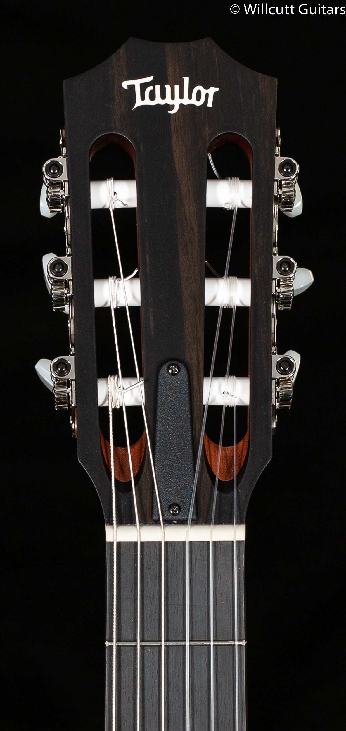 Taylor 214ce-N Nylon Grand Auditorium Rosewood/Spruce (117)