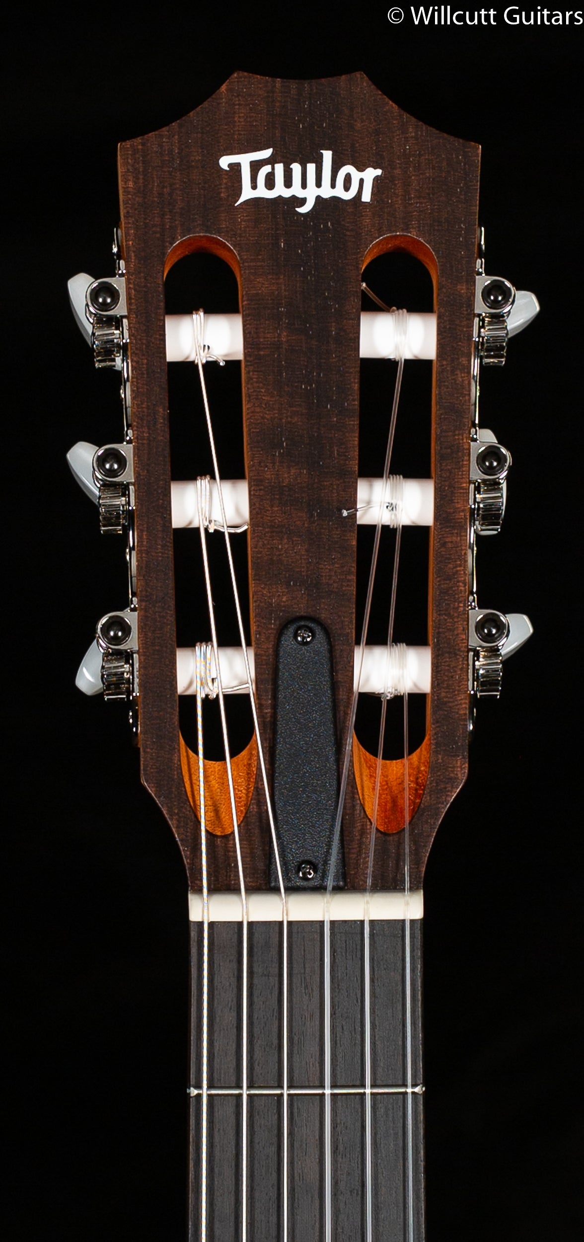 Taylor Academy 12e-N (216)