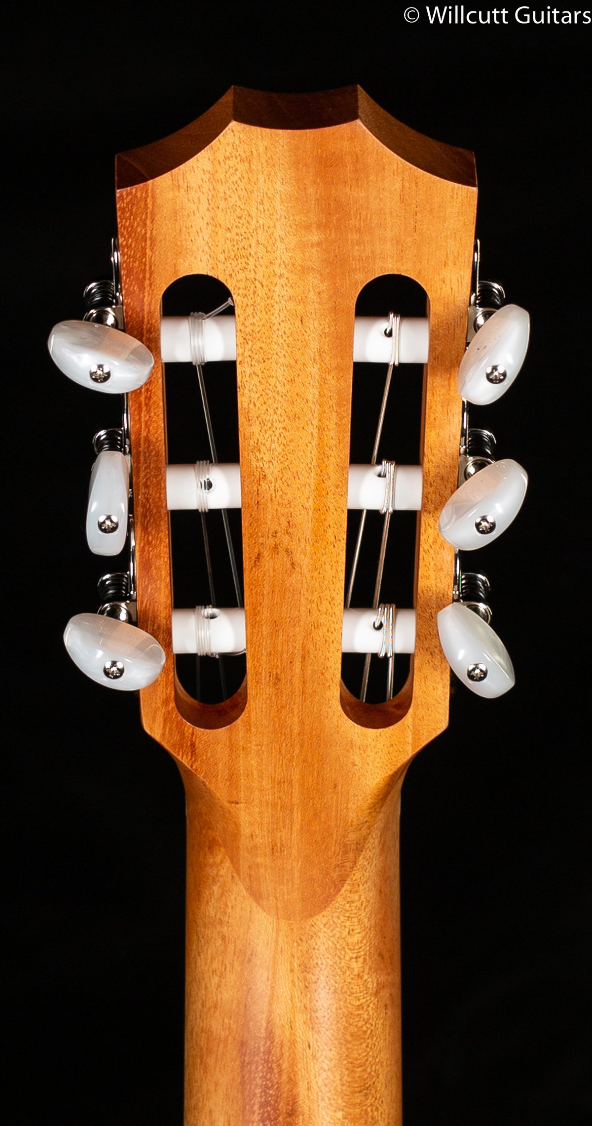 Taylor Academy 12e-N (216)