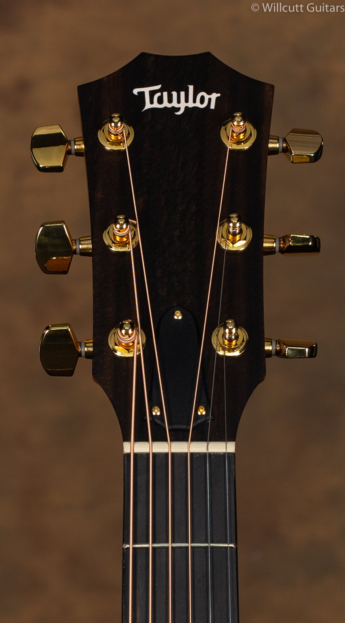 Taylor 224ce-K DLX USED