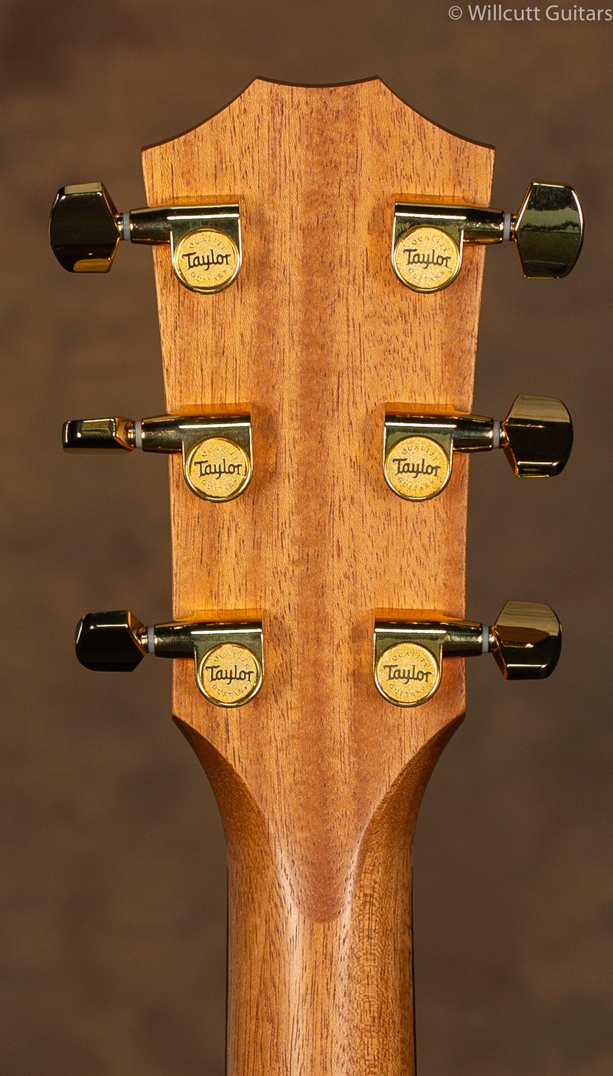 Taylor 224ce-K DLX USED