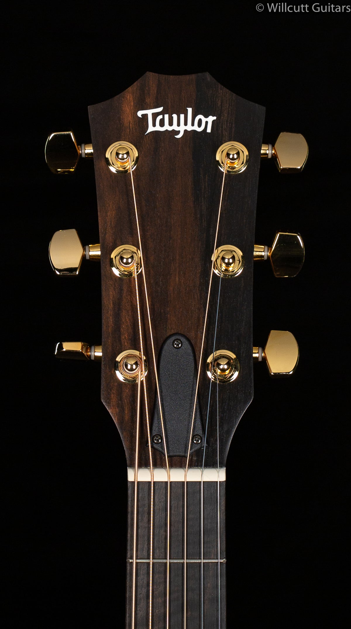 Taylor LTD 224ce-K Deluxe Satin