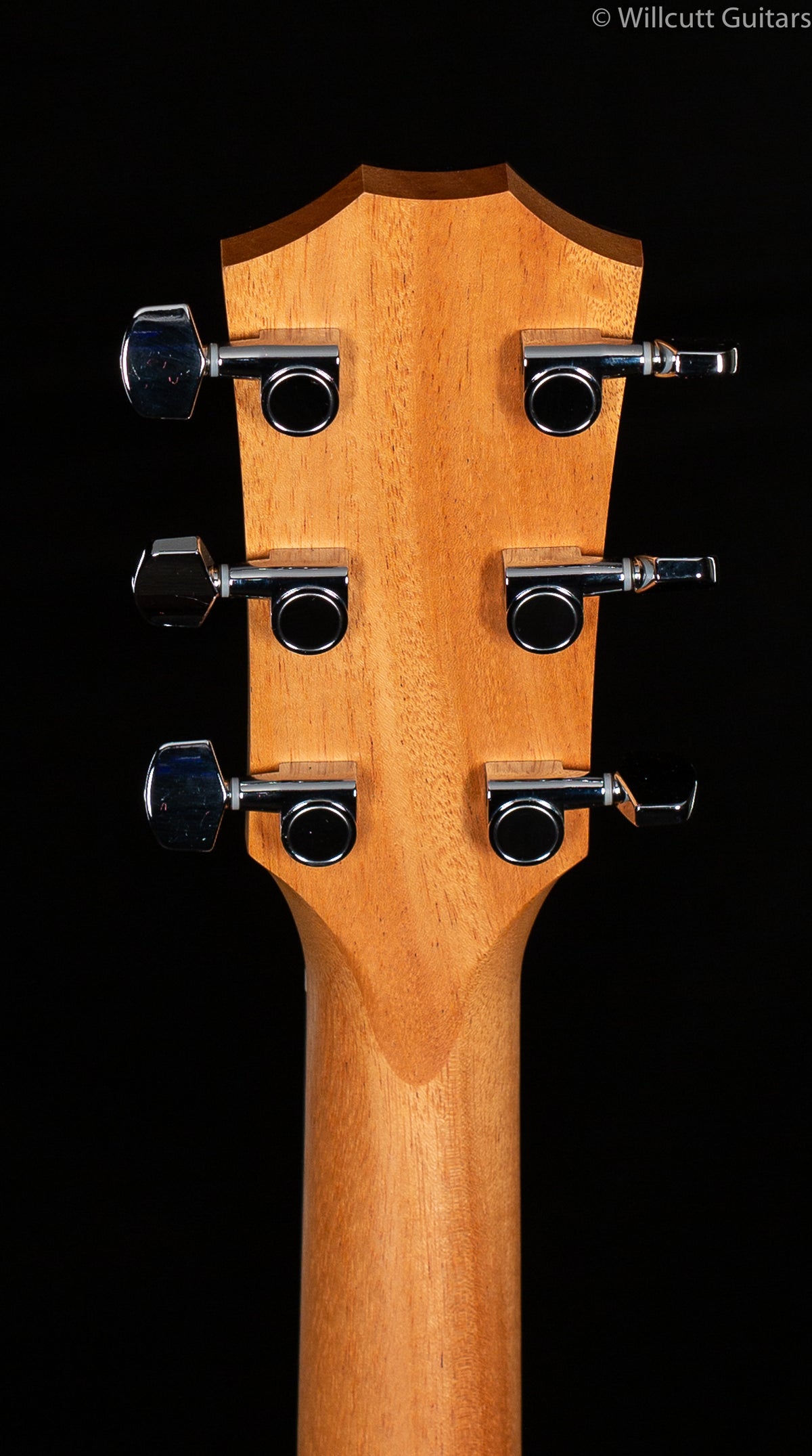 Taylor LTD 224ce-K Deluxe Satin