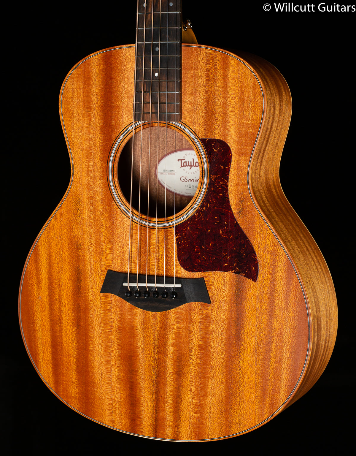 Taylor GS-Mini Mahogany Electric