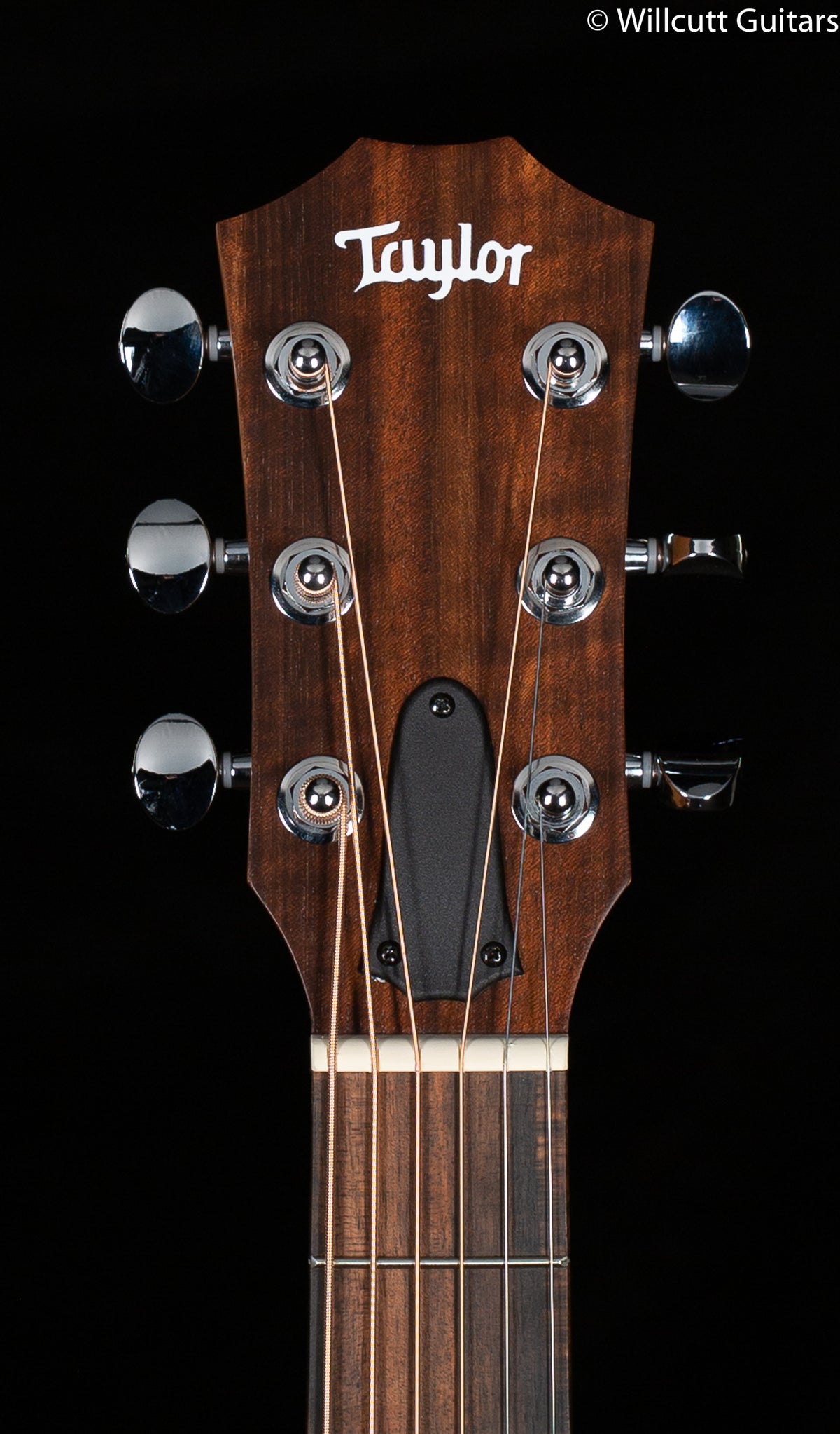 Taylor GS-Mini Mahogany Electric