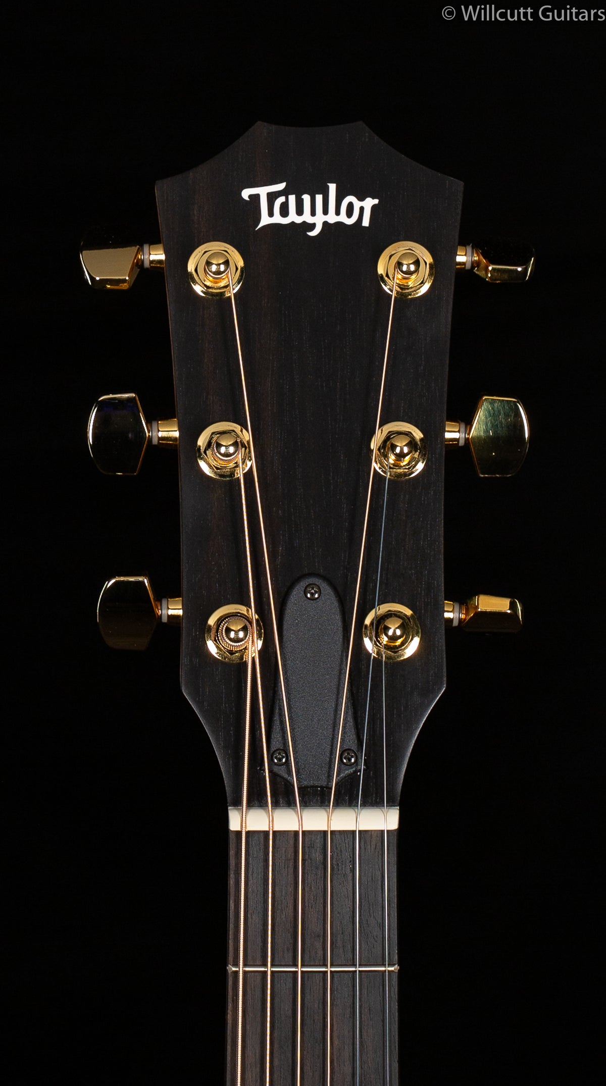 Taylor LTD 224ce-K Deluxe Satin