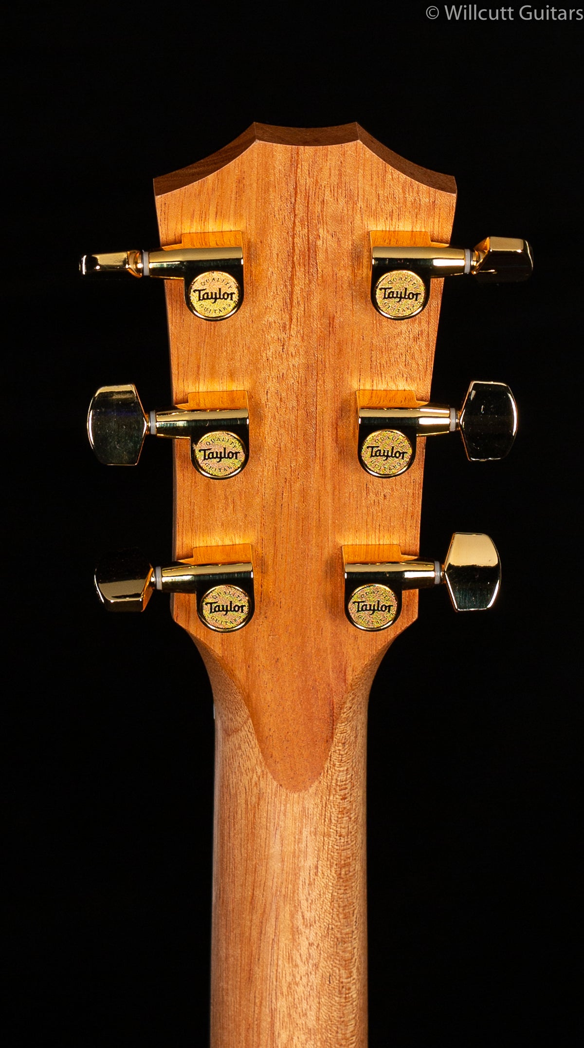 Taylor LTD 224ce-K Deluxe Satin